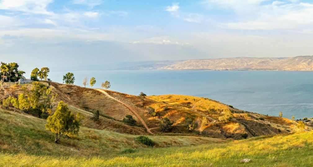 Фото: Shutterstock